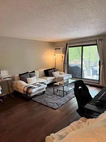 5627 Green Circle Drive Hopkins MN 55343