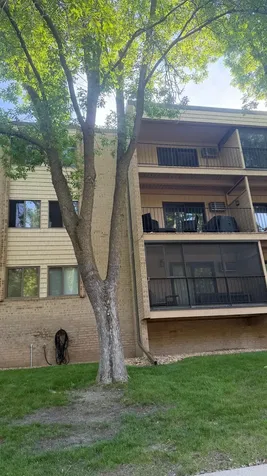5627 Green Circle Drive Hopkins MN 55343
