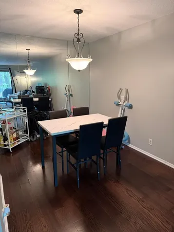 5627 Green Circle Drive Hopkins MN 55343