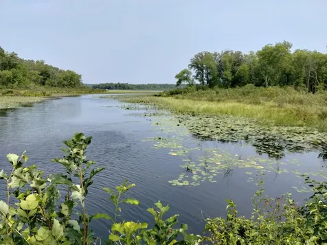 3918 County Road 168 Pequot Lakes MN 56472
