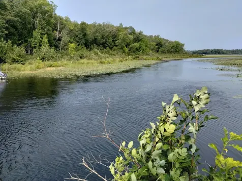 3918 County Road 168 Pequot Lakes MN 56472