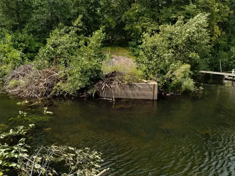 3918 County Road 168 Pequot Lakes MN 56472