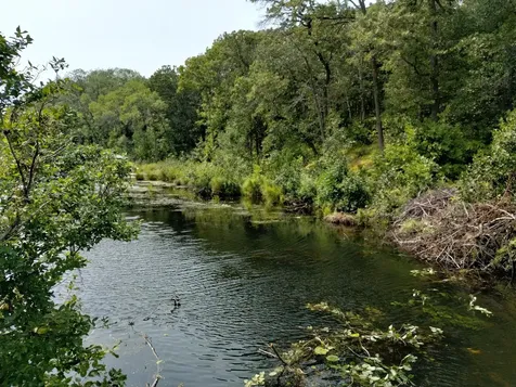 3918 County Road 168 Pequot Lakes MN 56472