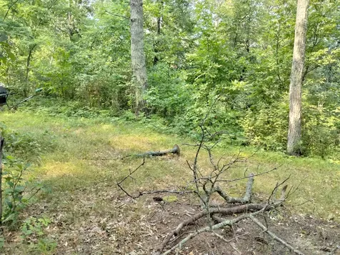 3918 County Road 168 Pequot Lakes MN 56472