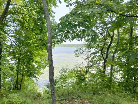 3918 County Road 168 Pequot Lakes MN 56472