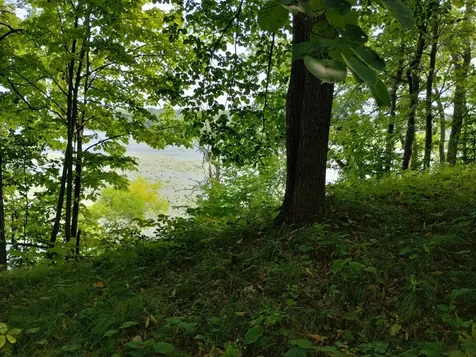 3918 County Road 168 Pequot Lakes MN 56472