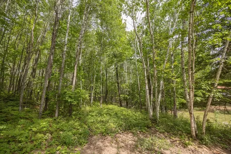 3677 County 54 NE Longville MN 56655