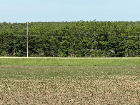 Tbd 31st Avenue NW Oronoco MN 55960