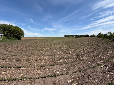 Tbd 31st Avenue NW Oronoco MN 55960