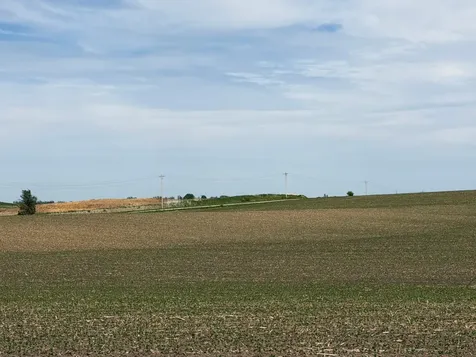 Tbd 31st Avenue NW Oronoco MN 55960