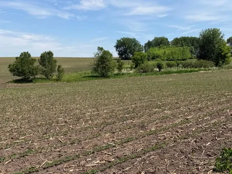 Tbd 31st Avenue NW Oronoco MN 55960