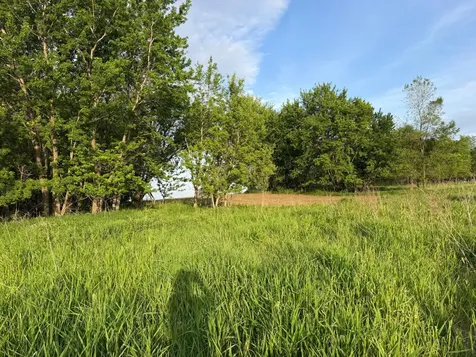 Tbd 31st Avenue NW Oronoco MN 55960