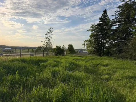 Tbd 31st Avenue NW Oronoco MN 55960