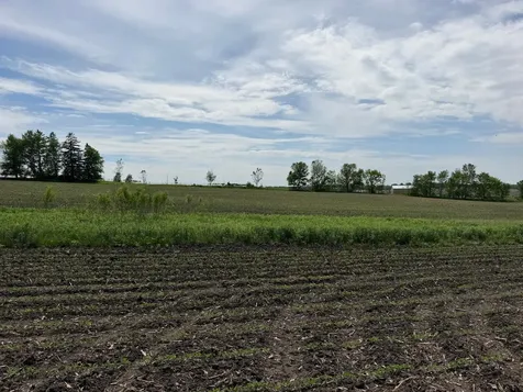 Tbd 31st Avenue NW Oronoco MN 55960