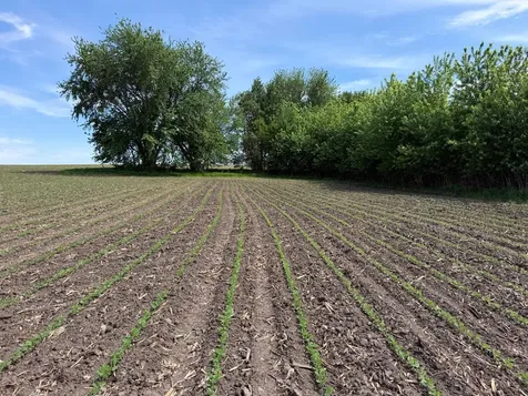 Tbd 31st Avenue NW Oronoco MN 55960