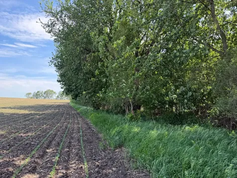 Tbd 31st Avenue NW Oronoco MN 55960