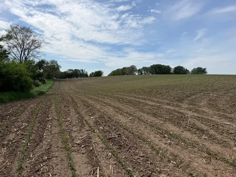 Tbd 31st Avenue NW Oronoco MN 55960