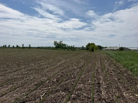 Tbd 31st Avenue NW Oronoco MN 55960