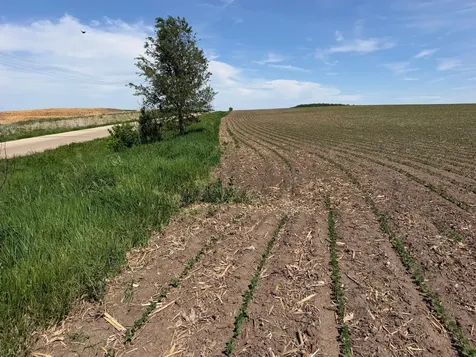 Tbd 31st Avenue NW Oronoco MN 55960