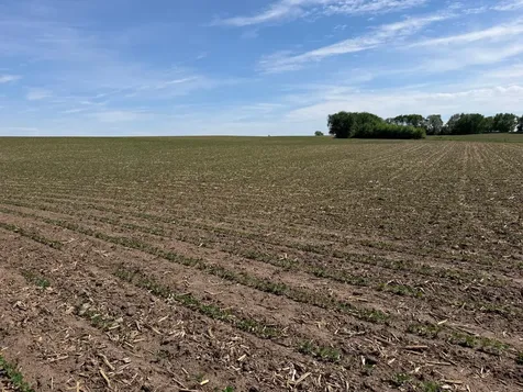 Tbd 31st Avenue NW Oronoco MN 55960