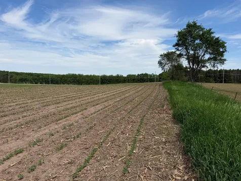 Tbd 31st Avenue NW Oronoco MN 55960