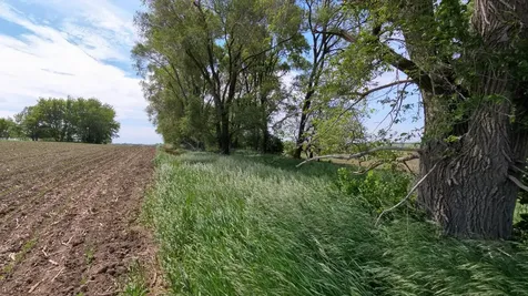 Tbd 31st Avenue NW Oronoco MN 55960