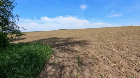 Tbd 31st Avenue NW Oronoco MN 55960