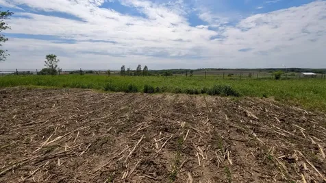 Tbd 31st Avenue NW Oronoco MN 55960