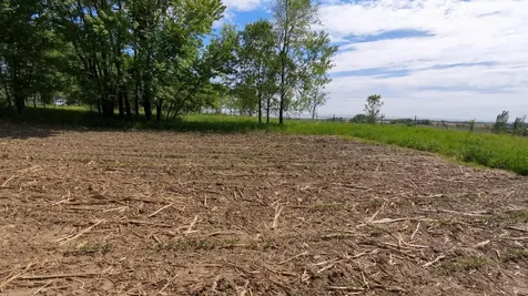 Tbd 31st Avenue NW Oronoco MN 55960
