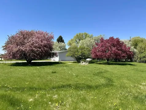 8215 292nd Street E Randolph MN 55065