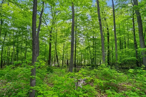 Tbd Cuyuna Greens Drive Deerwood MN 56444
