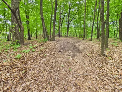 4498 Avery Road Burtrum MN 56318