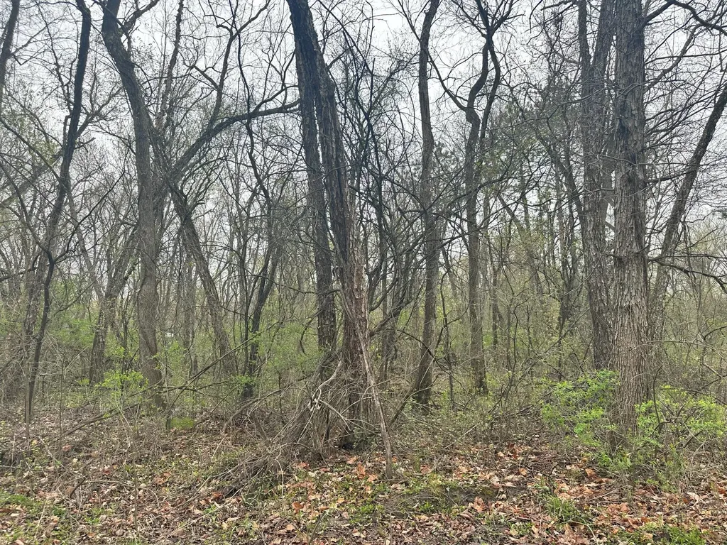 Lot 0 Catfish Drive Trempealeau WI 54661