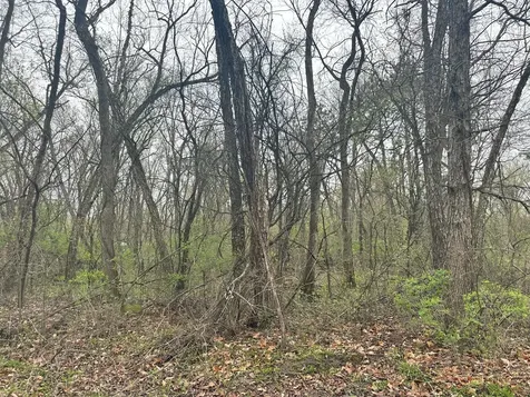 Lot 0 Catfish Drive Trempealeau WI 54661