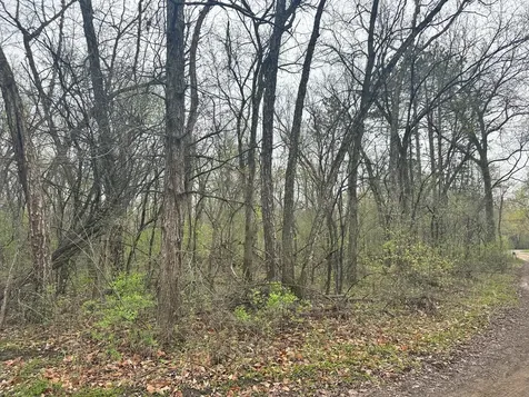 Lot 0 Catfish Drive Trempealeau WI 54661