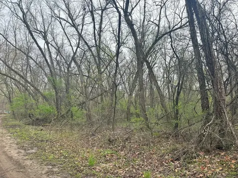 Lot 0 Catfish Drive Trempealeau WI 54661