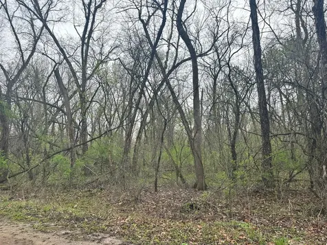 Lot 0 Catfish Drive Trempealeau WI 54661