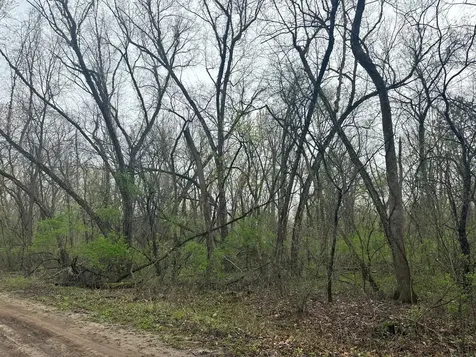 Lot 0 Catfish Drive Trempealeau WI 54661