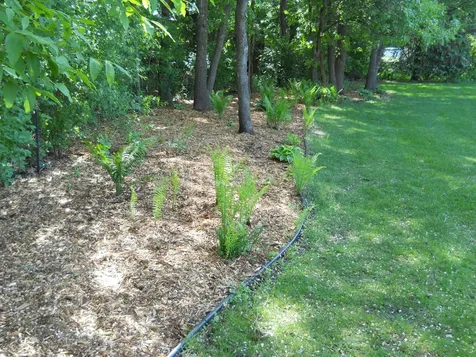 956 Willow Grove Circle Waite Park MN 56387