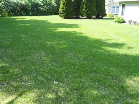 956 Willow Grove Circle Waite Park MN 56387