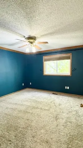 10635 62nd Street NE Albertville MN 55301
