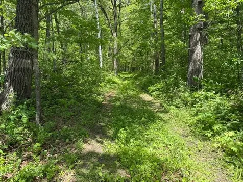 Tbd 226th Mcgregor MN 56431