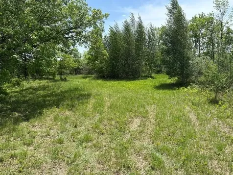 Tbd 226th Mcgregor MN 56431