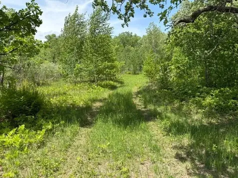 Tbd 226th Mcgregor MN 56431