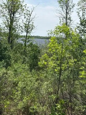 Tbd 226th Mcgregor MN 56431