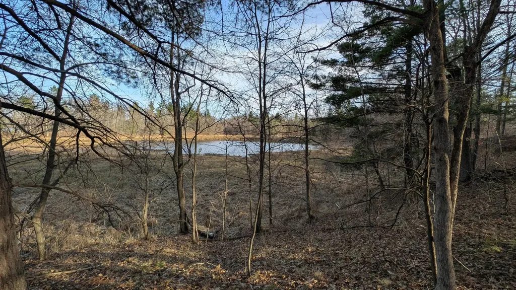 Tbd Honkers Hollow Danbury WI 54830