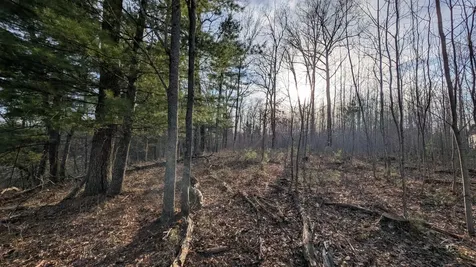 Tbd Honkers Hollow Danbury WI 54830