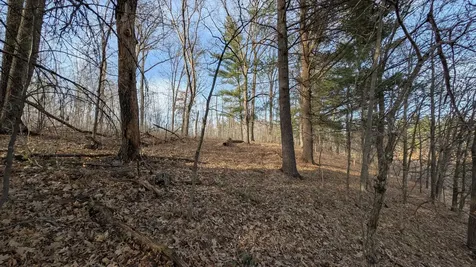 Tbd Honkers Hollow Danbury WI 54830