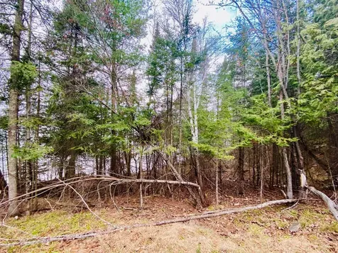 11171 S Engstad Road Solon Springs WI 54873