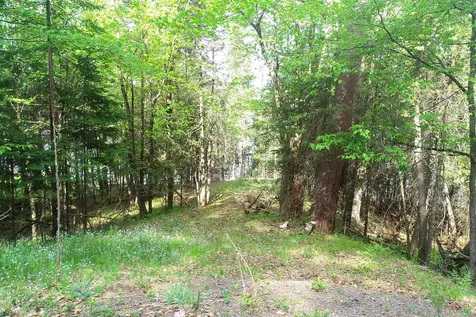 11171 S Engstad Road Solon Springs WI 54873